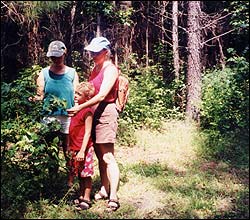 Hiking near Lake Jocassee